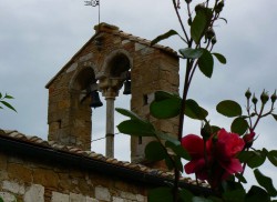 ORCIA
