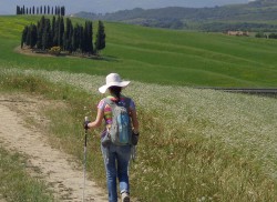ORCIA 1