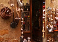 ORCIA 7