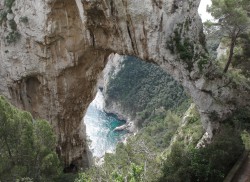 CAPRI 1