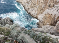 SORRENTO 1