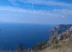 SORRENTO 6