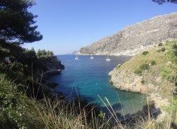 SORRENTO 7