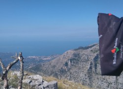 SORRENTO 9