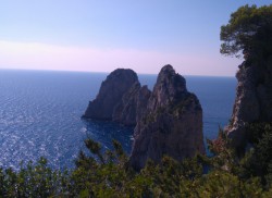 SORRENTO 19