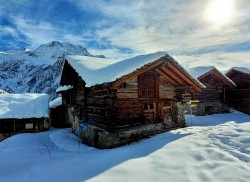 Alpenzu
