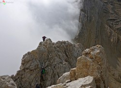 CORTINA FARRATA TOFANA