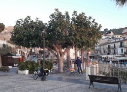 Tropea