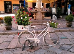 Tropea rower