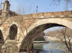 ROMA MOST FABRICIO
